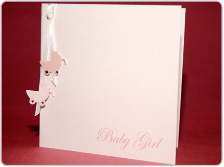 Baby Girl Photo Album on Small Baby Girl Photo Album